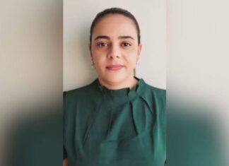 Mulher Morre Após Ataque De Abelhas No Interior Da Bahia