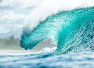 Pipeline Volta Como Etapa Decisiva E Novidades Para Temporada 2026 Do Mundial De Surfe Pipeline Volta Como Etapa Decisiva E Novidades Para Temporada 2026 Do Mundial De Surfe