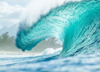Pipeline volta a sediar a etapa final do Circuito Mundial de Surfe Pipeline volta a sediar a etapa final do Circuito Mundial de Surfe