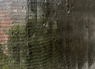 Salvador Sai Do Alerta Máximo, Mas Mantém Risco De Chuvas Ao Longo Da Semana