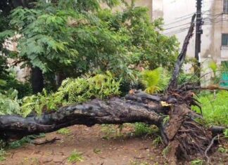 Chuvas De Maio Já Superam Média Do Mês Em Salvador