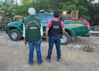 PF Desmantela Centro De Tráfico Internacional De Animais Silvestres Na Bahia