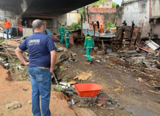Prefeitura Realiza Ação Integrada Para Desocupação De área Sob Viaduto Na Via Expressa
