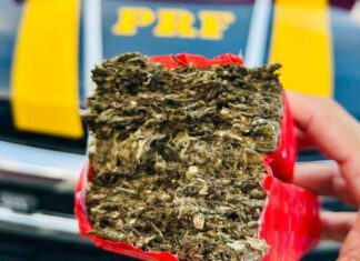 PRF Apreende 25 Kg De Maconha Em ônibus Na BR-116, Em Jequié