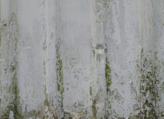 Mofo é problema comum em casa e perigoso à saúde: veja como evitá-lo