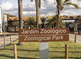 Jardim Zoológico de Brasília é fechado por suspeita de gripe aviária