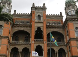 Fiocruz cria ferramenta para monitorar substitutos do leite materno