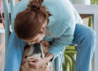 Cão de suporte emocional: o que é e como auxilia no bem-estar humano