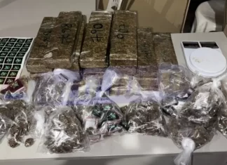 Polícia Militar Apreende 20 Kg De Maconha Em Sussuarana Velha