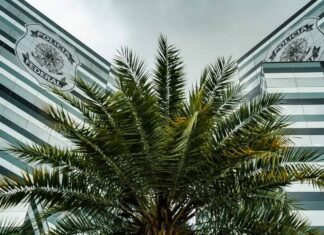 Polícia Federal Abre Concurso Com Mil Vagas E Salários De Até R$ 26,8 Mil