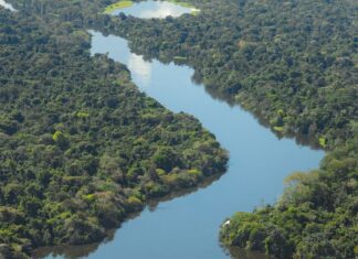 Brasília sedia 5ª Conferência Nacional do Meio Ambiente