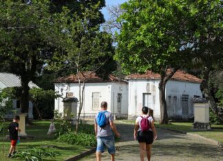 Programação no Mast lembra os 100 anos de visita de Eisntein ao Brasil