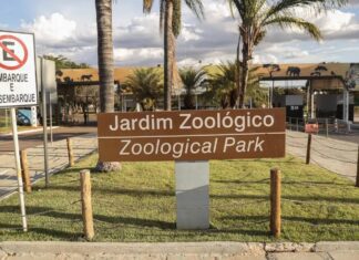 Zoológico De Brasília é Fechado Após Suspeita De Gripe Aviária