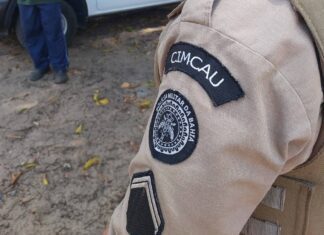 Bahia Registra Queda De 31% Nos Conflitos Fundiários No Campo Em 2024