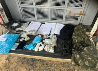 Polícia Apreende Mais De 370 Porções De Drogas Em Pau Da Lima