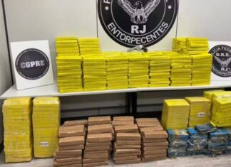 Polícia Federal Apreende 600 Kg De Maconha E 32 Kg De Cocaína Em Caminhão Na Dutra