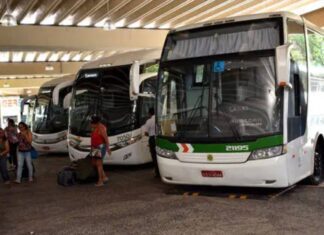Rodoviária E Ferry Vão Operar Em Esquema Especial Para Corpus Christi E São João; Confira