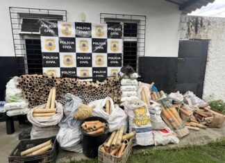 Cruz Das Almas: Apreensão De Espadas Juninas Ultrapassa 1,5 Tonelada Em 2025