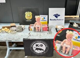 Boneca Nada Inocente: Polícia Encontra Haxixe Escondido Dentro De Boneca Em Florianópolis