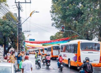 Nova Frota Do Sistema Emergencial De Transporte De Camaçari Passa A Funcionar