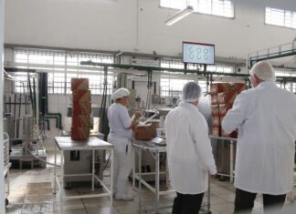 País receberá R$1,3 bi de fundos externos para descarbonizar indústria