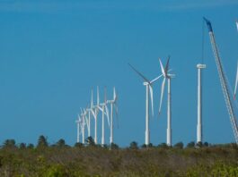 Projeto mapeia caminhos para economia verde no Nordeste
