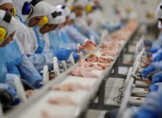 Indústria mantém estabilidade desde abril de 2025, diz IBGE