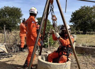 Bombeiros Resgatam Gato De Poço De 15 Metros Em Bom Jesus Da Lapa