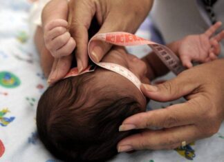 Congresso Derruba Veto E Garante Pensão Vitalícia A Vítimas Do Vírus Zika