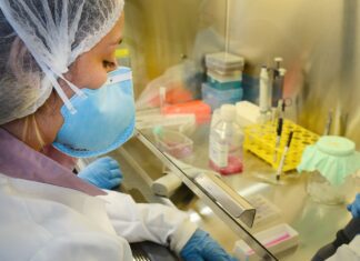 USP: pesquisa de vacina contra zika avança em testes com camundongos