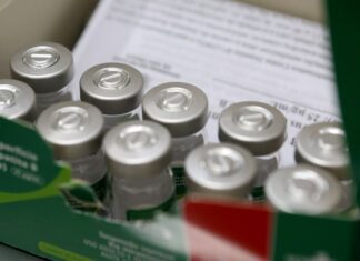 População do quilombo Boa Esperança no Rio é vacinada contra hepatite