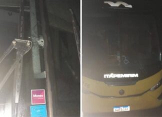 Tentativa De Assalto A ônibus Na BR-101 Termina Em Tiroteio E Deixa Motorista Ferido Na Bahia