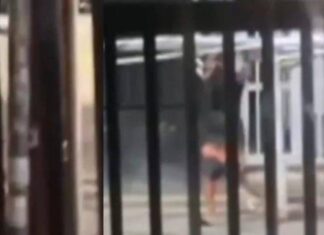 Homem é Flagrado Carregando Portão Roubado Na Barra, Em Salvador