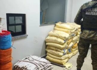 Polícia Apreende Cerca De Uma Tonelada De Explosivos No Norte Da Bahia