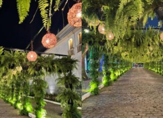 VÍDEO: Público Leva 500 Plantas Da Decoração De Festival; Confira Onde