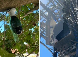 Operação Portão Segura: Polícia Remove Câmeras Clandestinas Utilizadas Pelo Tráfico Em Lauro De Freitas