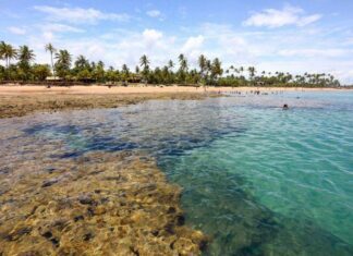 Turista Mineiro é Encontrado Morto Em Praia Paradisíaca Da Bahia