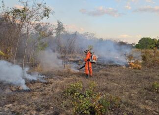Vinte Cidades Baianas Estão Sob Alerta De Incêndio; Saiba Quais