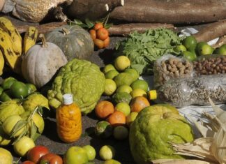 Empréstimo do BNDES para o Plano Safra será recorde de R$ 70 bilhões