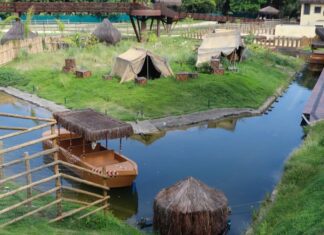 Zoológico do Rio reabre ao público nesta quinta após mortes de aves