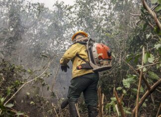 Combate a incêndios florestais podem ter recursos do Fundo Amazônia