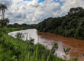 Brumadinho Volta A Ter Barragem Em Situação De Emergência