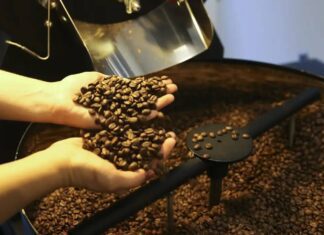 Bahia é A Maior Produtora De Café Do Nordeste E A 4ª Do Brasil