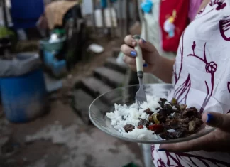 Brasil Está Fora Do Mapa Da Fome, Anuncia ONU