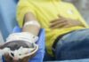 Novas regras para doação de sangue no país entram em vigor em outubro