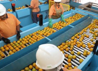 Confira a lista de quase 700 produtos que não serão taxados pelos EUA Confira a lista de quase 700 produtos que não serão taxados pelos EUA