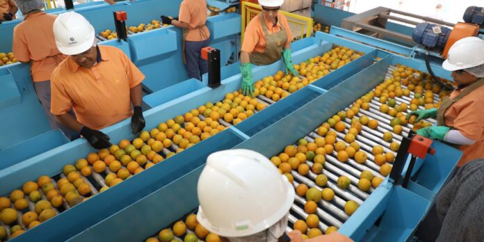 Confira a lista de quase 700 produtos que não serão taxados pelos EUA
