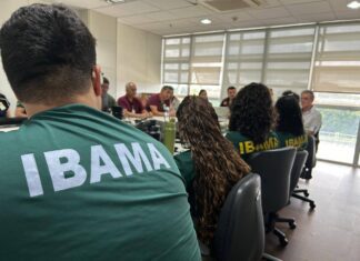 Ibama E Inema Fiscalizam Resposta De Empresas A Vazamento De óleo Em Salvador