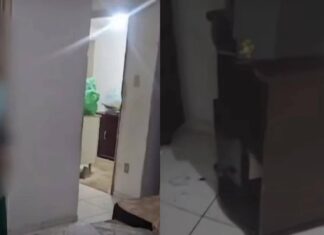 Desidratadas E Debilitadas, Idosas São Resgatadas Em Apartamento