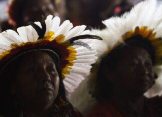 Viva Maria se une à mobilização das mulheres indígenas rumo à COP30